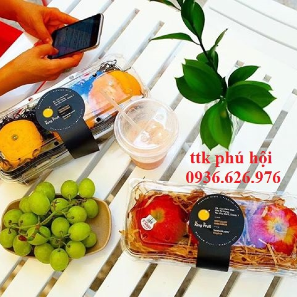 HỘP NHỰA ĐỰNG NHO KHÔ NGUYÊN CÀNH